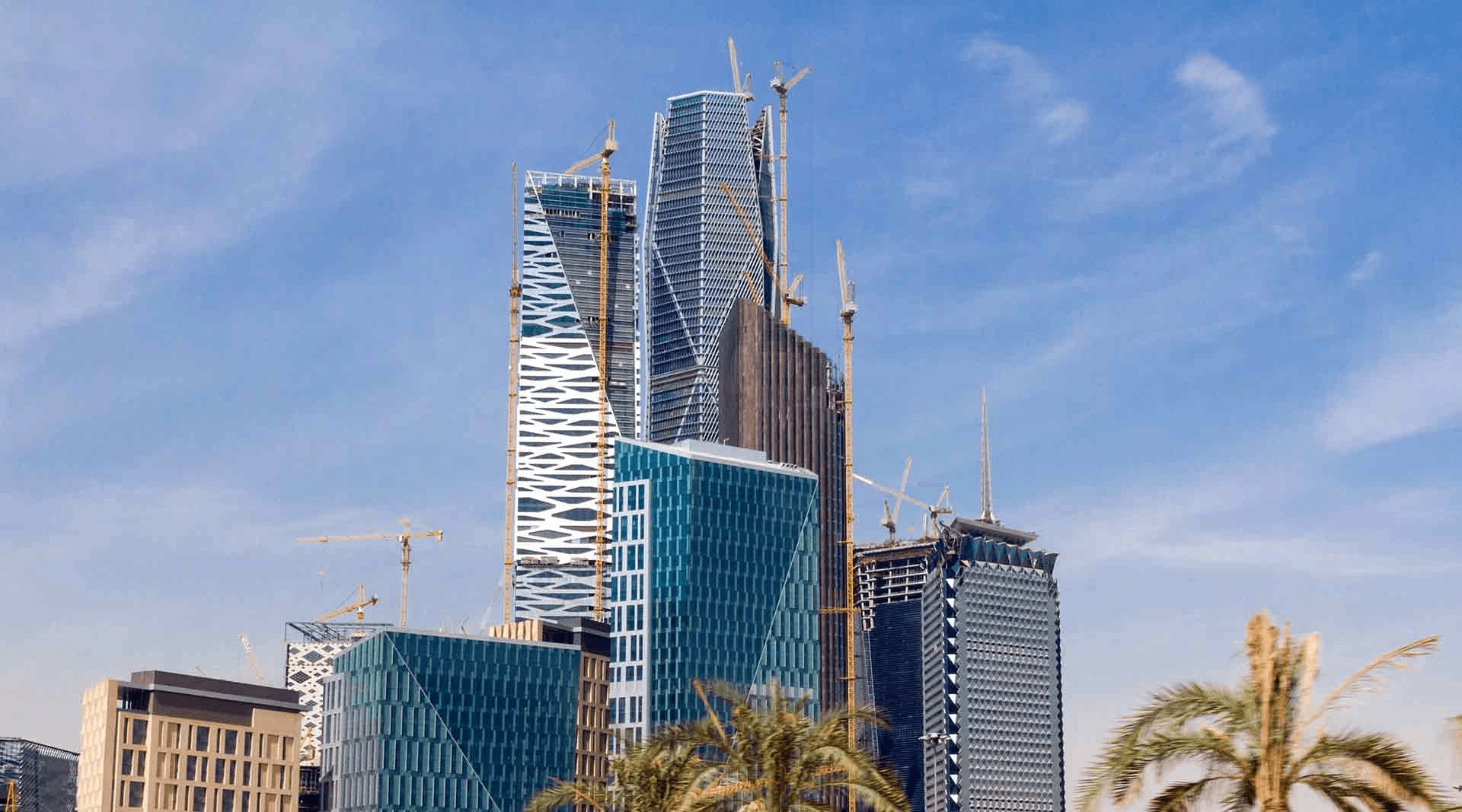 Enterprise Risk Management Director Test